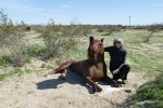 PICTURES/Borrego Springs Sculptures - Bugs, Cats & Birds/t_P1000367.JPG